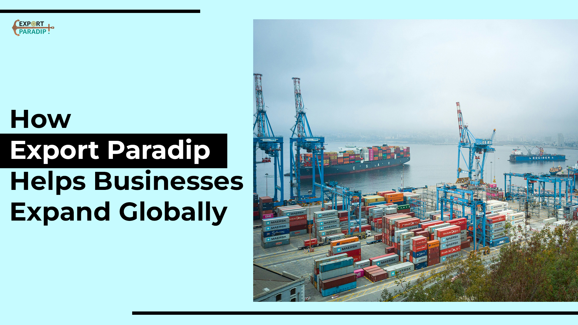 How Export Paradip Helps Businesses Expand Globally