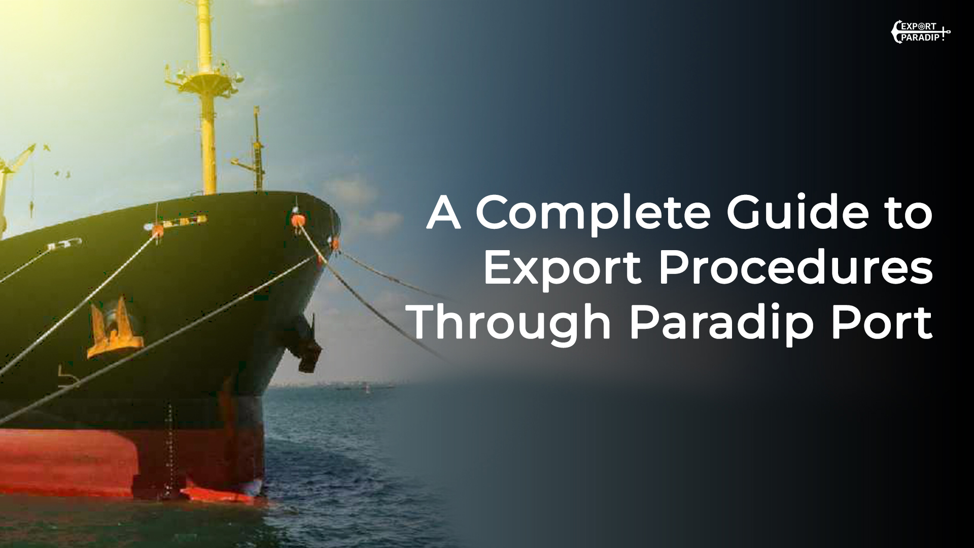 Export Procedures at Paradip Port | Complete Guide by Export Paradip