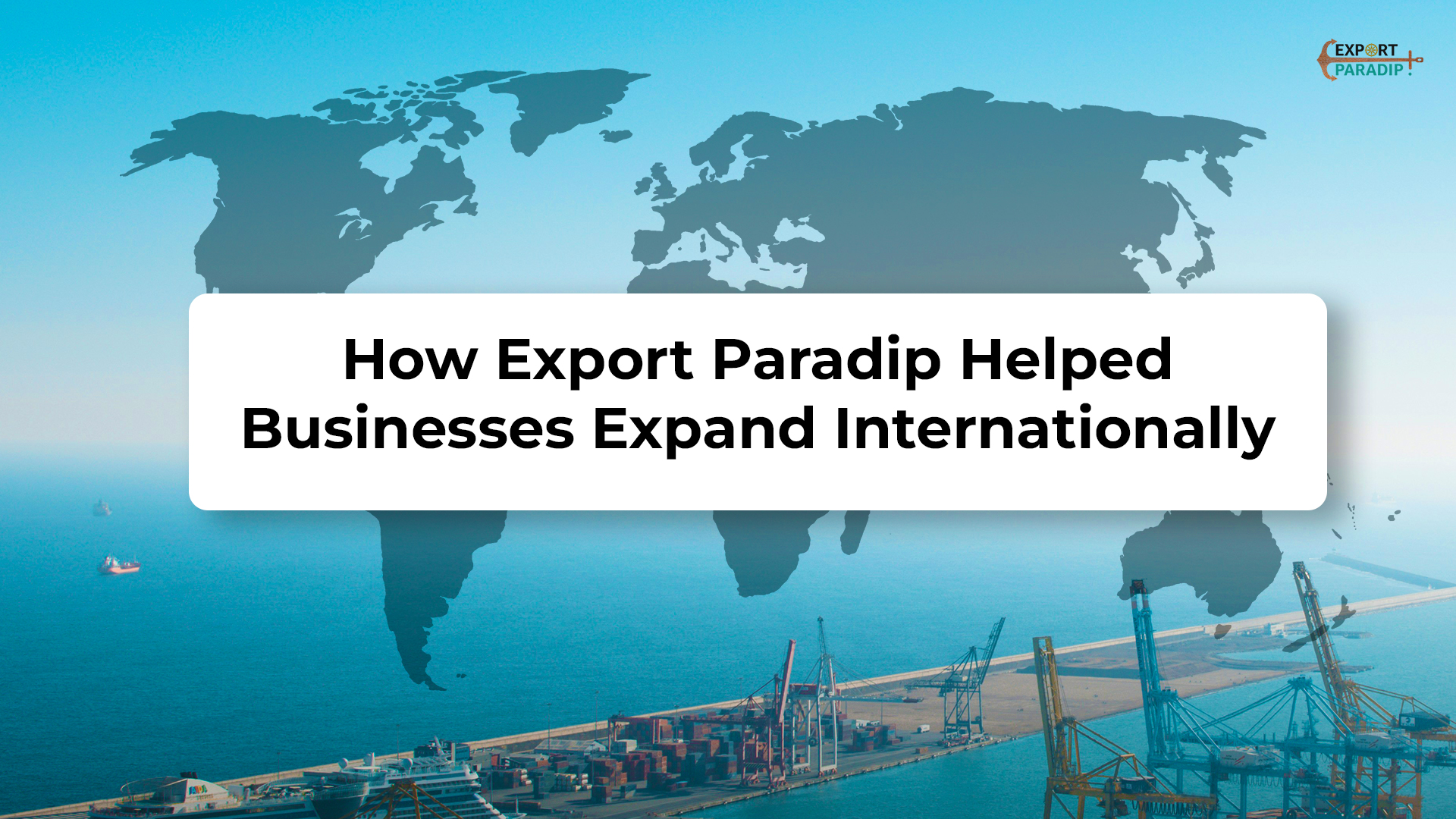 How Export Paradip Helped Businesses Expand Internationally